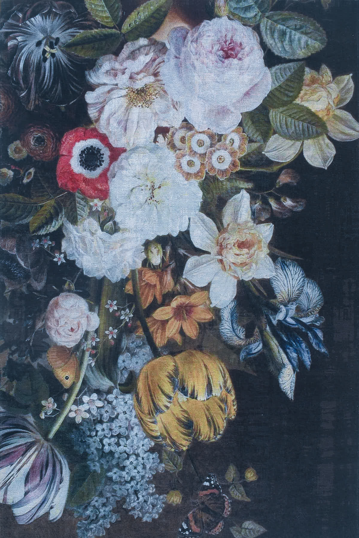 שטיח מרנטה ASTER