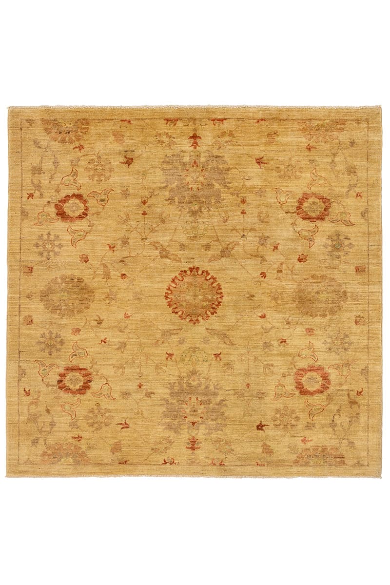 שטיח סופר זיגלר 100