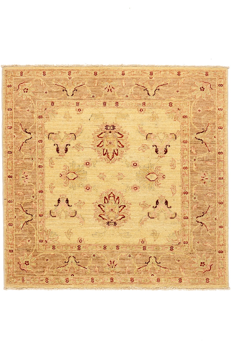 שטיח סופר זיגלר 113