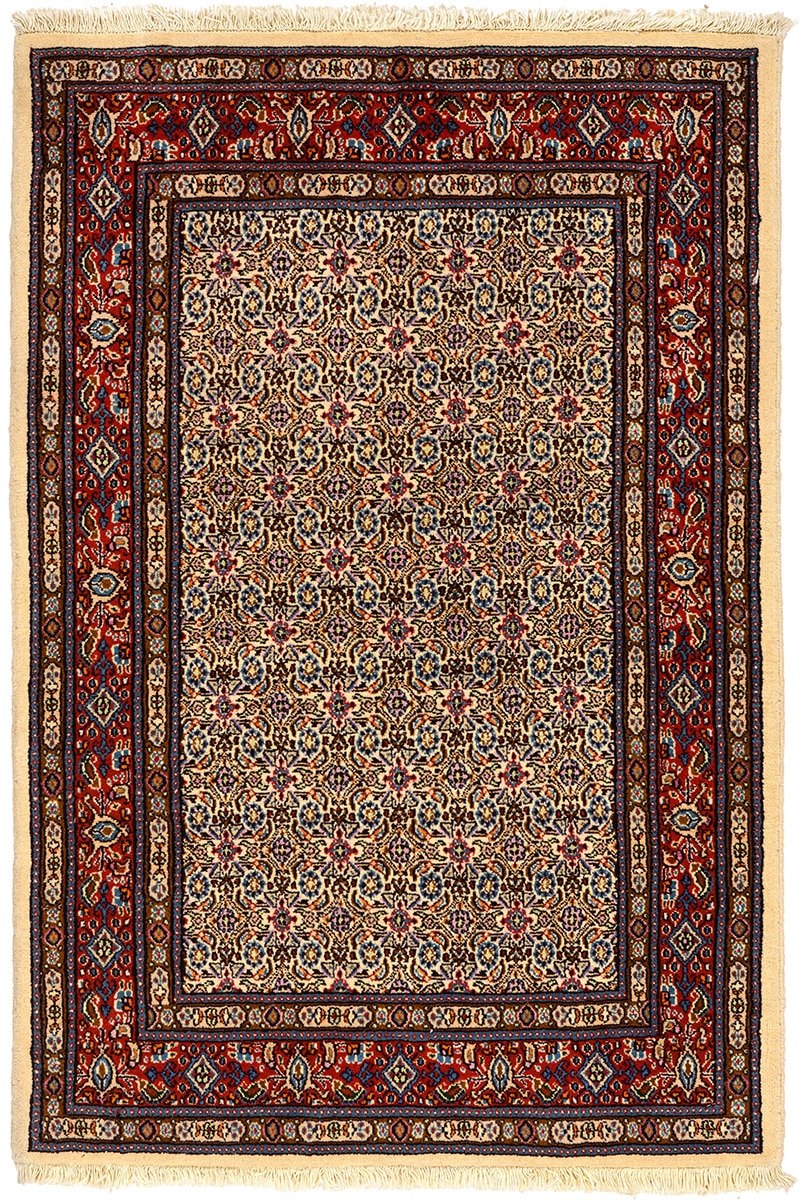 משהד פרסי 02