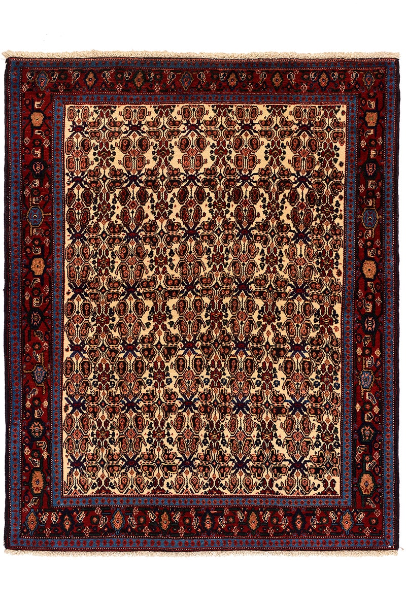 שטיח סנה פרסי 13