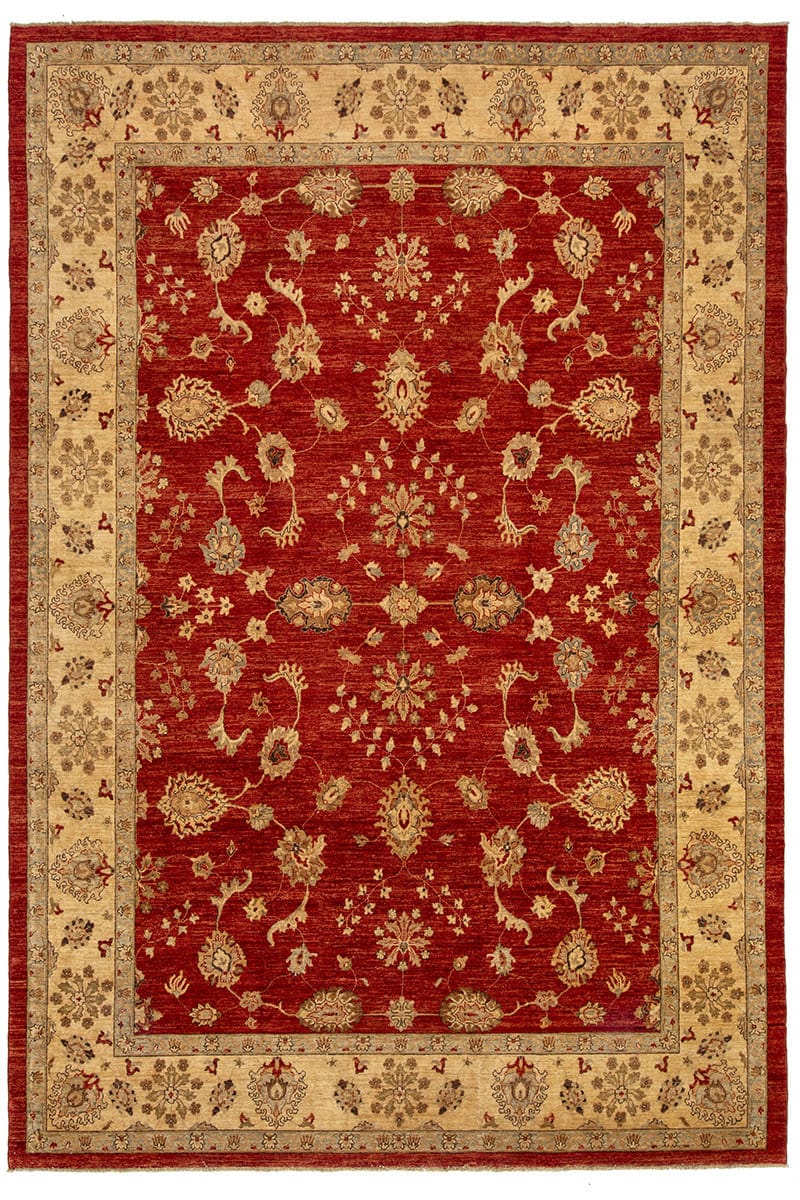 שטיח סופר זיגלר 169